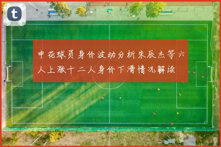申花球员身价波动分析朱辰杰等六人上涨十二人身价下滑情况解读